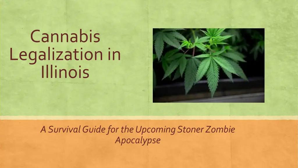 cannabis legalization in illinois