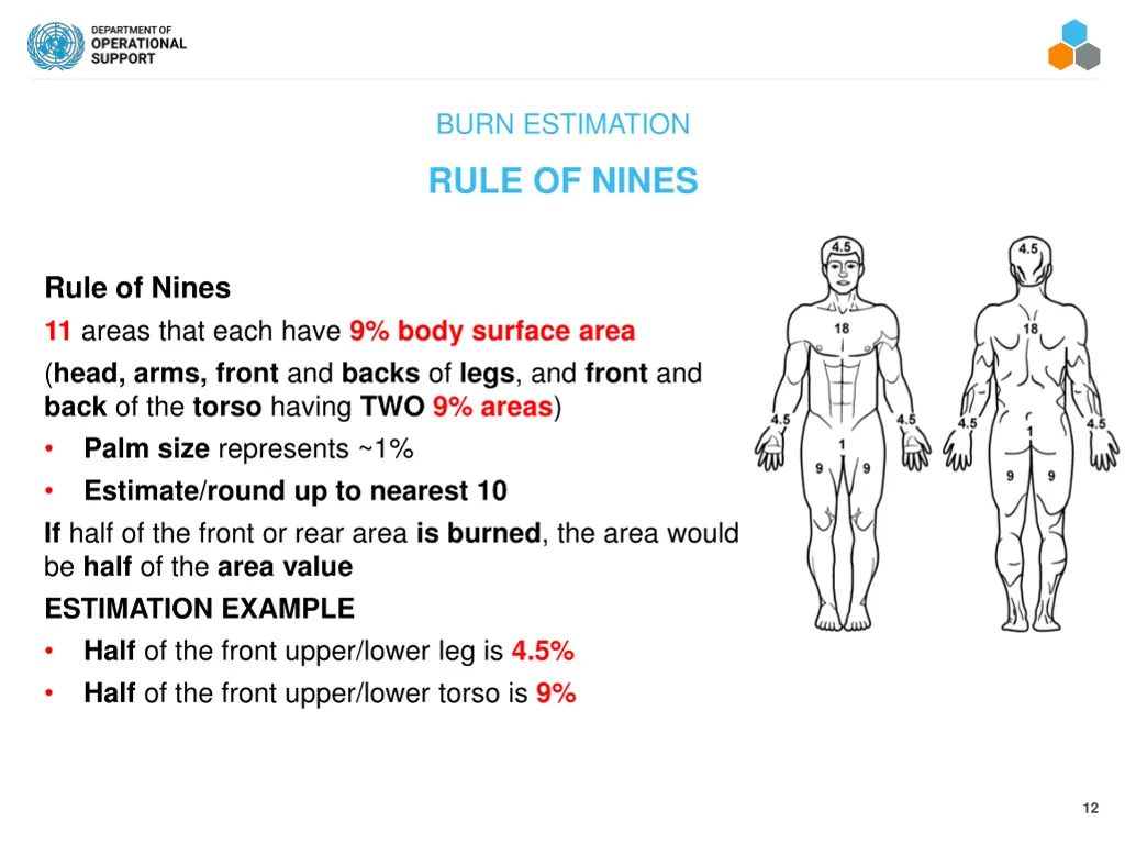 burn estimation