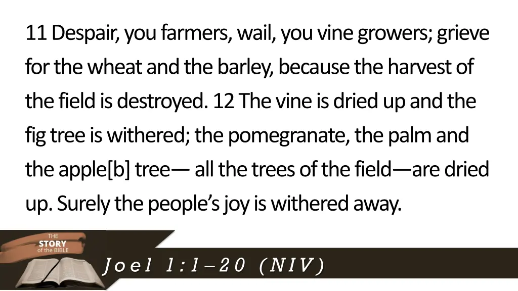 11despair you farmers wail you vine growers