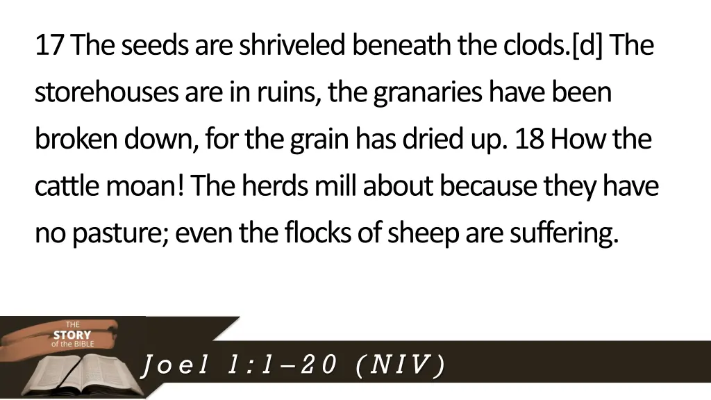 17the seeds are shriveledbeneath the clods