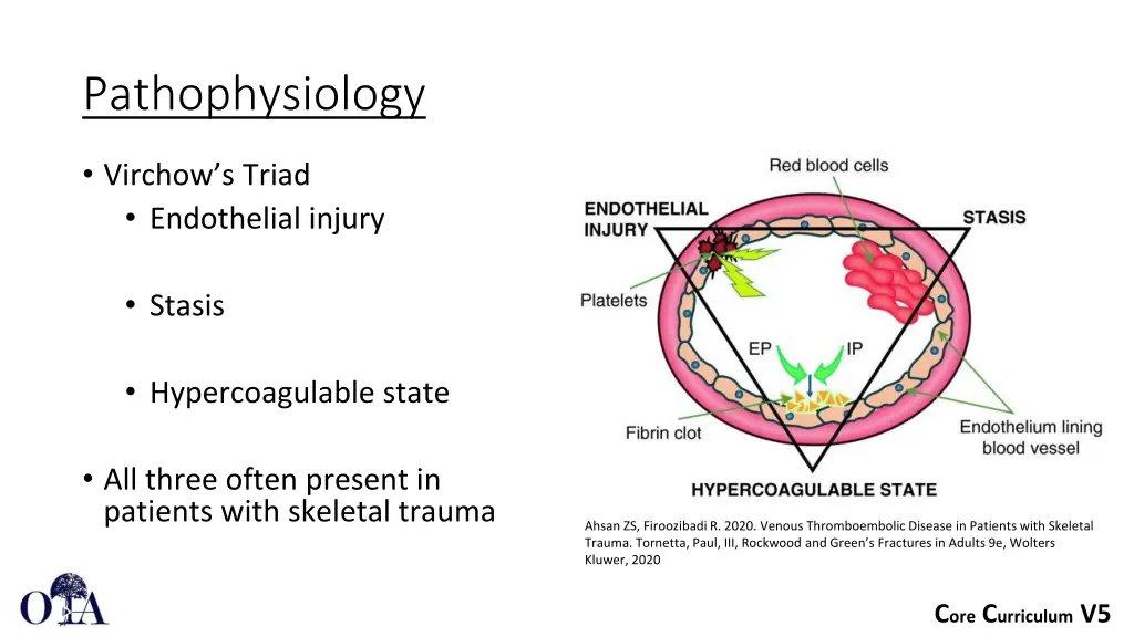 pathophysiology 1