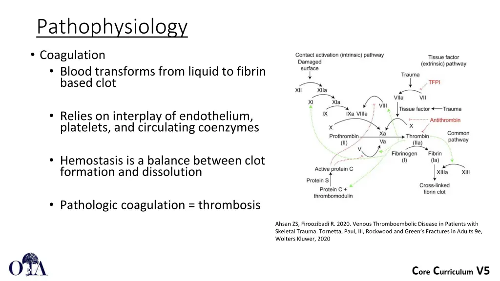 pathophysiology