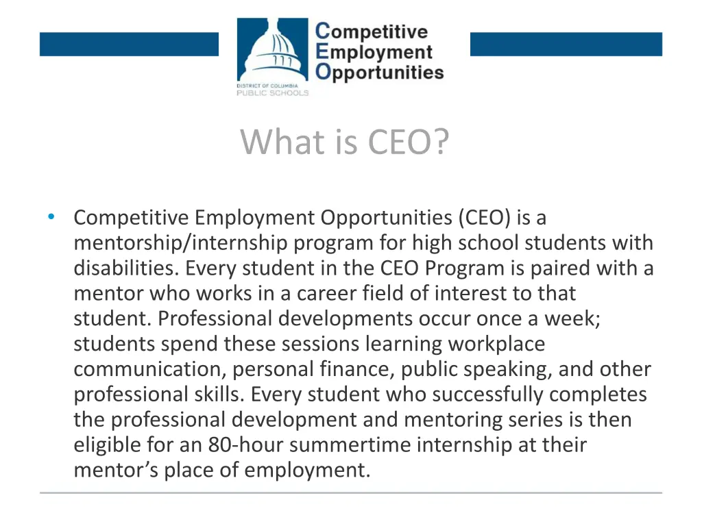 what is ceo