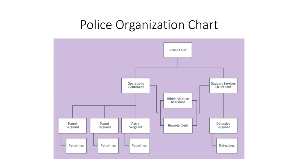 police organization chart