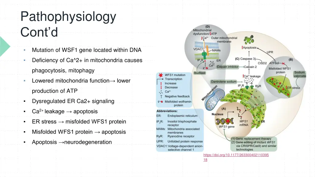 pathophysiology cont d