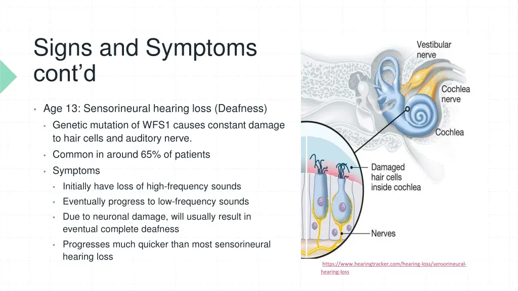 signs and symptoms cont d 1