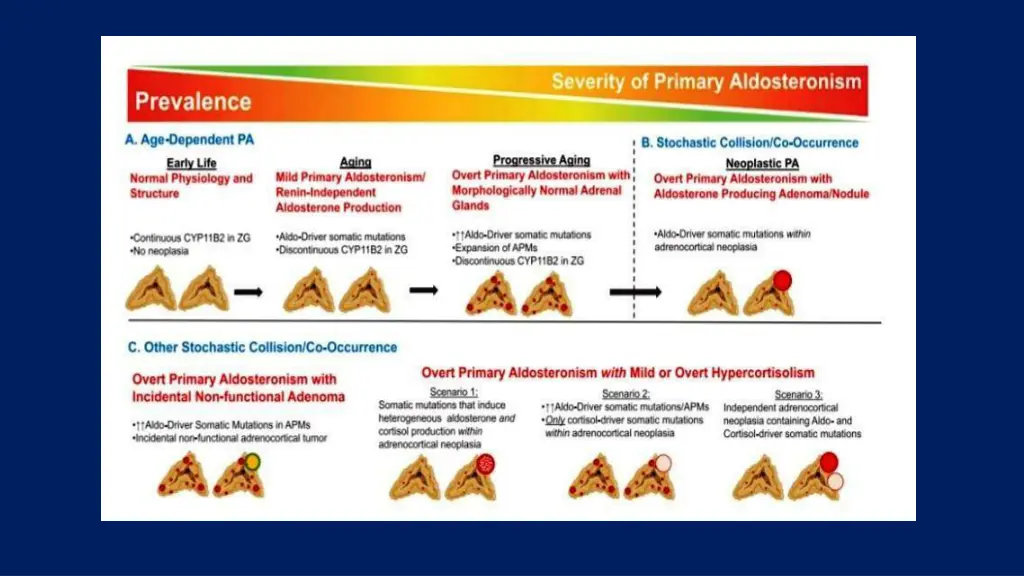 slide14