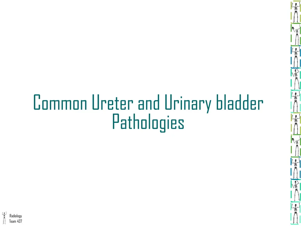 common ureter and urinary bladder pathologies