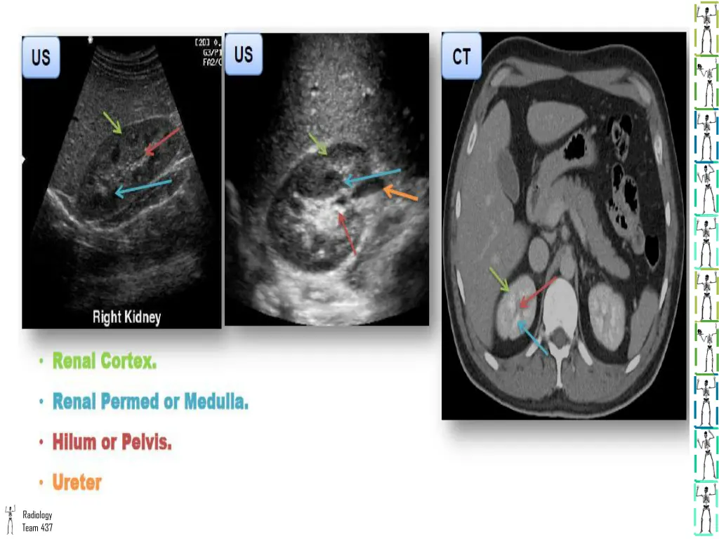 radiology team 437 1