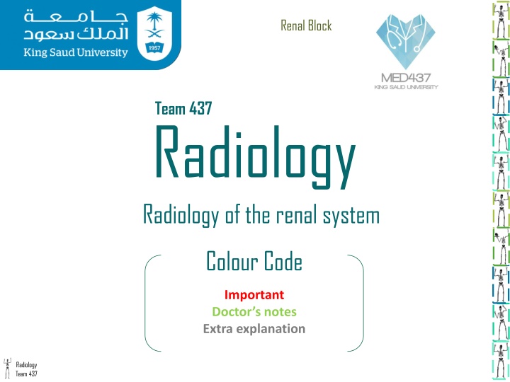 renal block