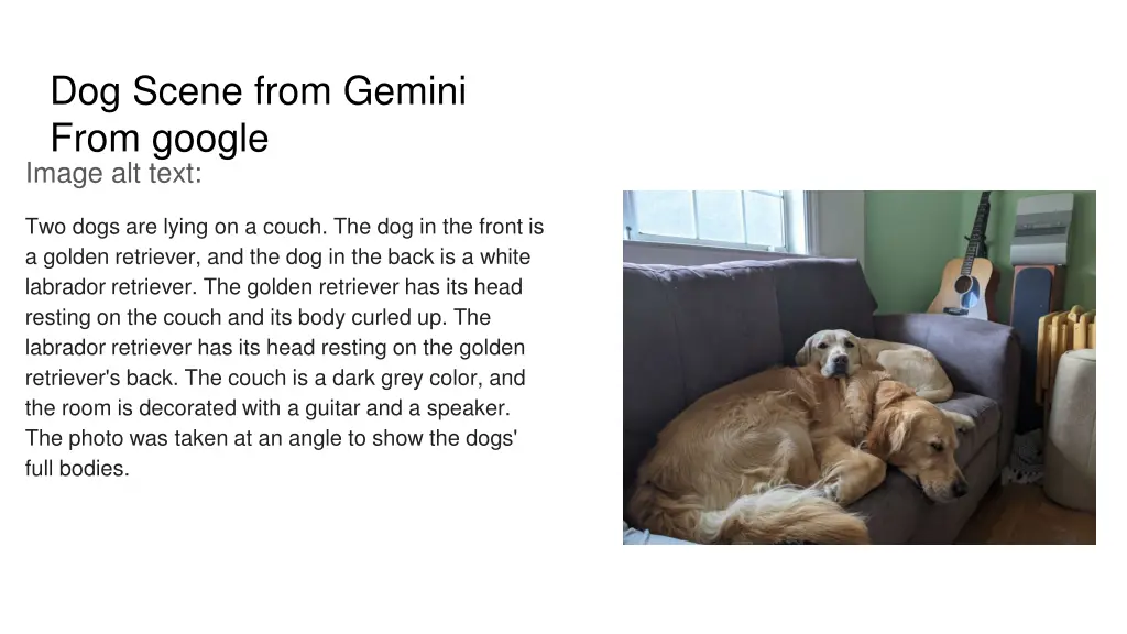 dog scene from gemini from google image alt text