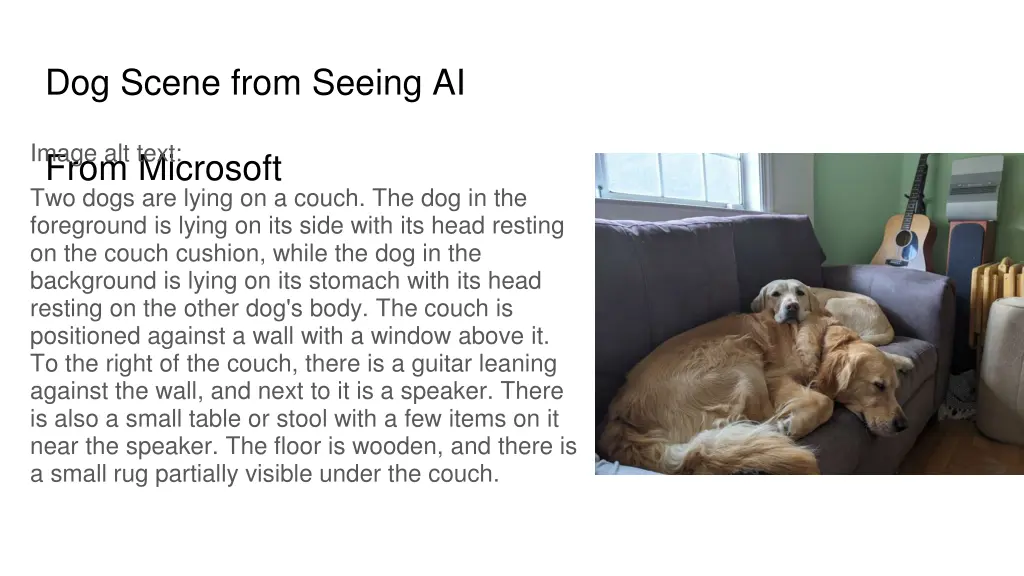 dog scene from seeing ai