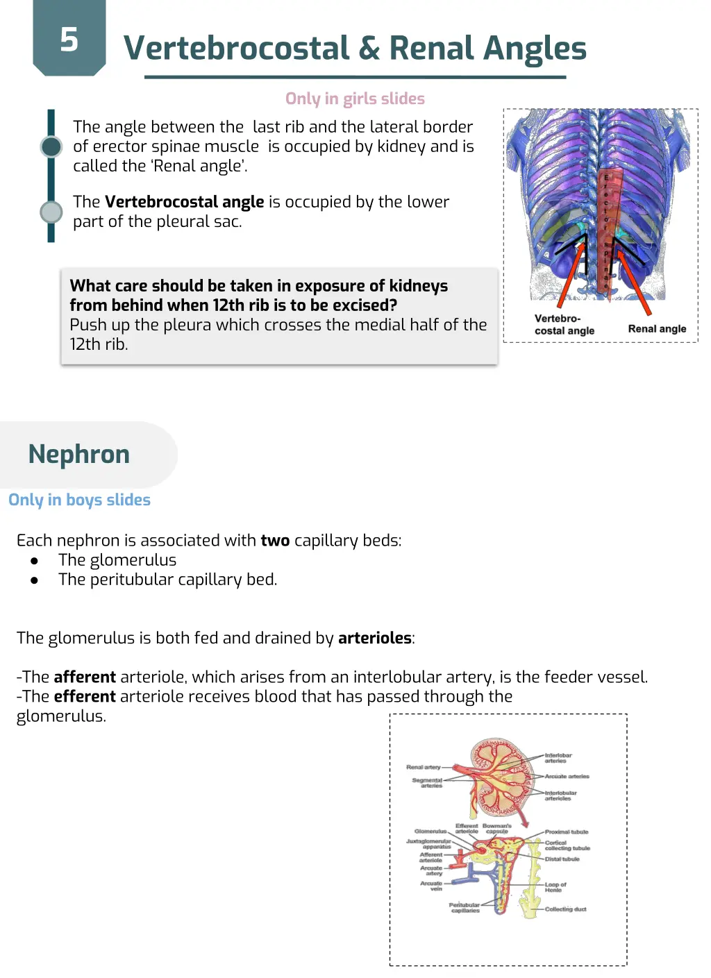 slide7