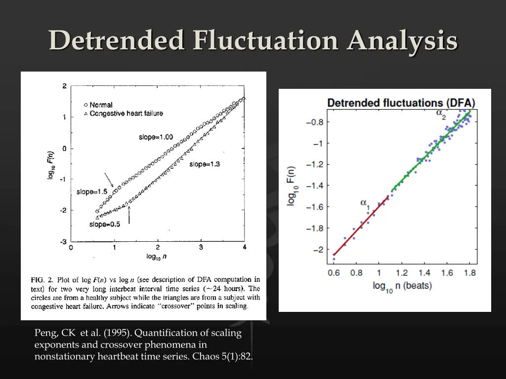 detrended fluctuation analysis 1