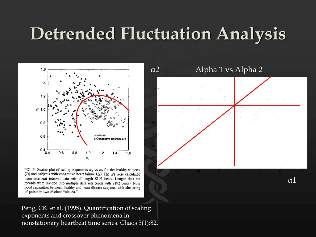 detrended fluctuation analysis 2
