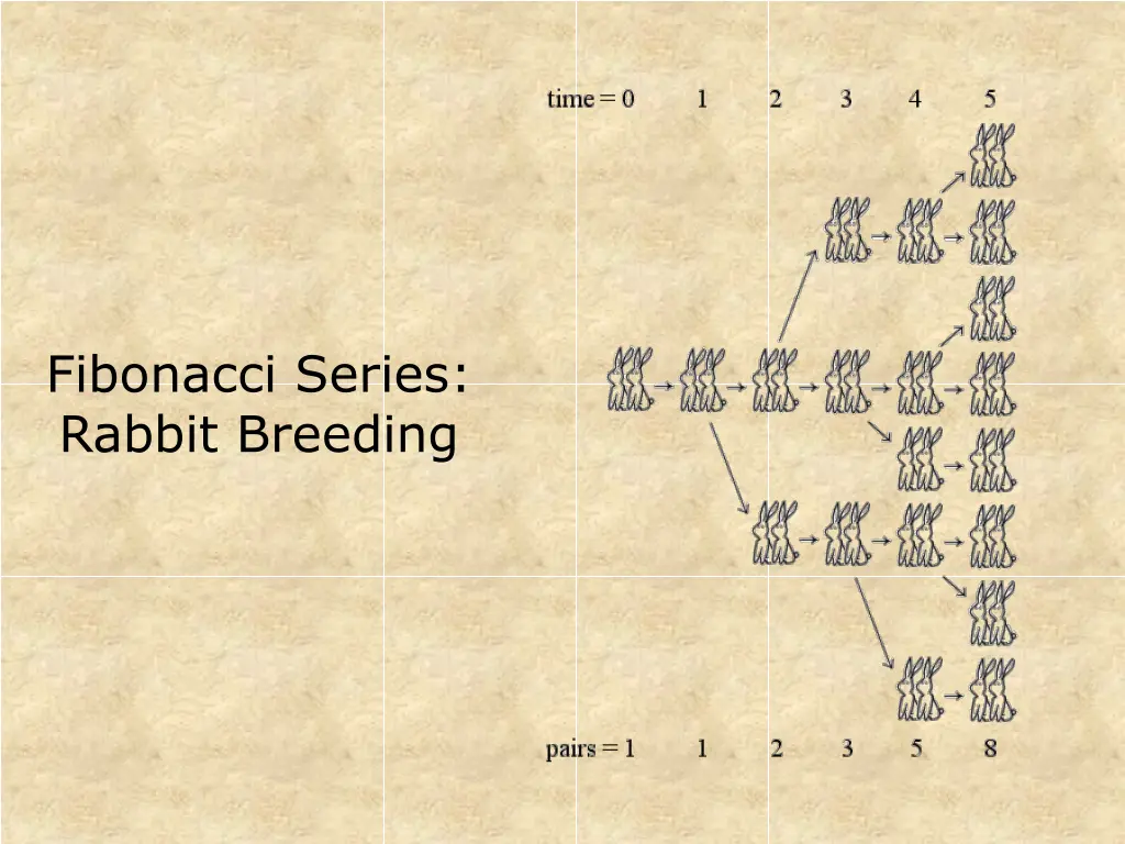 fibonacci series rabbit breeding