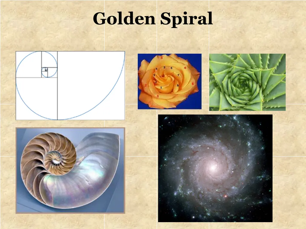 golden spiral