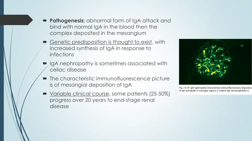 pathogenesis abnormal form of iga attack and bind