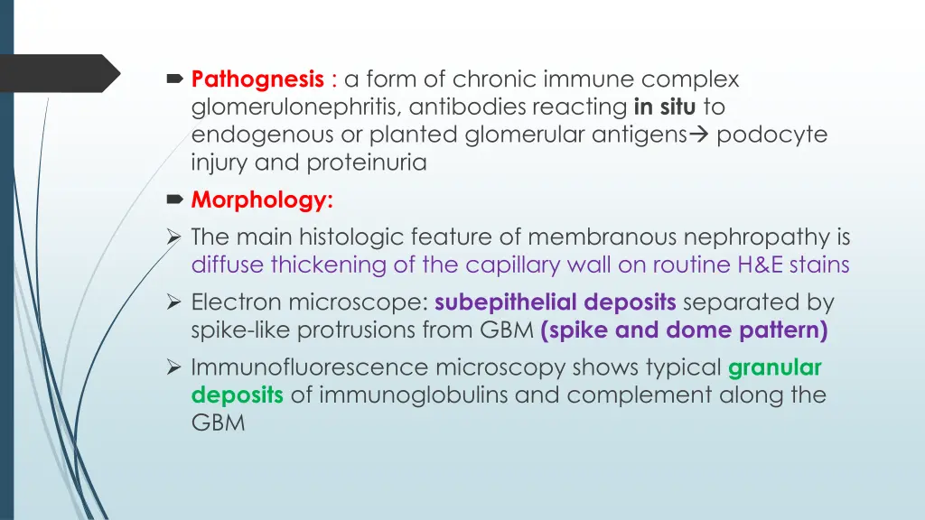 pathognesis a form of chronic immune complex