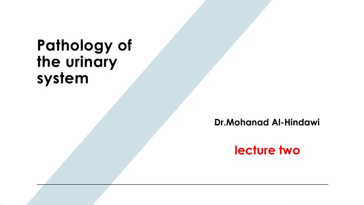 pathology of the urinary system