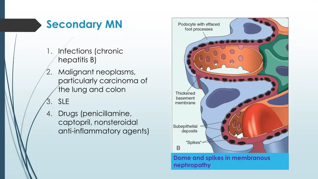 secondary mn