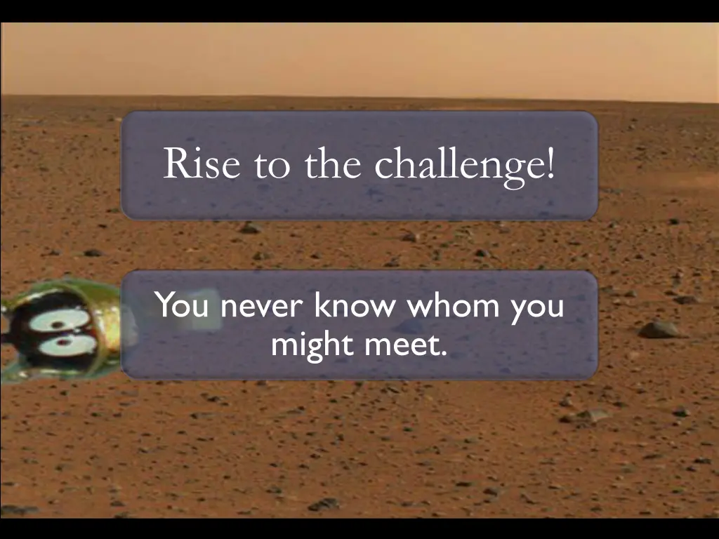 rise to the challenge
