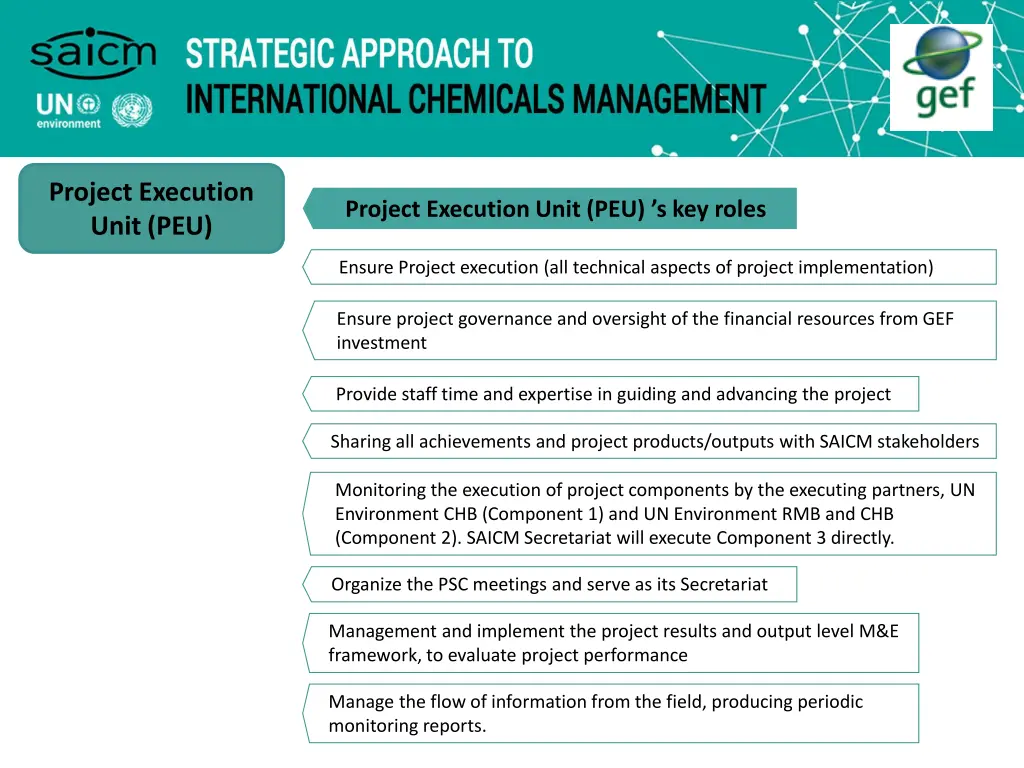 project execution unit peu