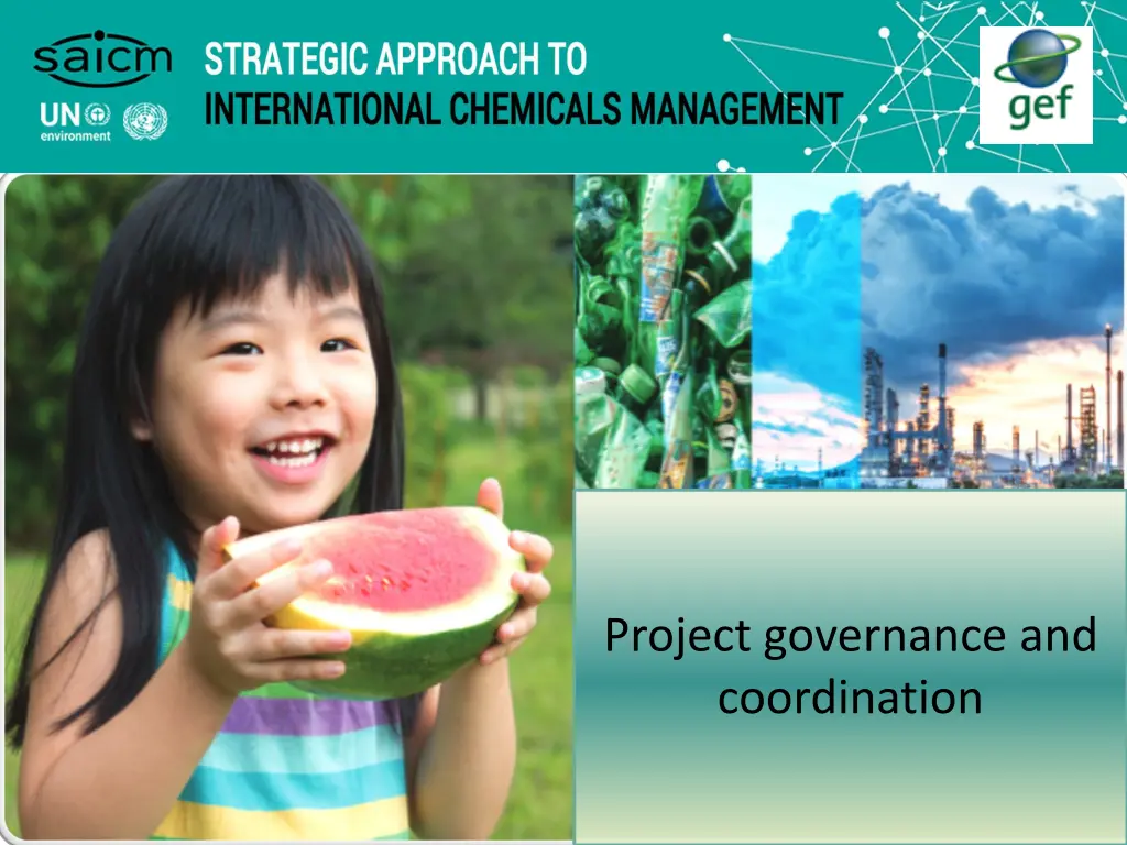 project governance and coordination