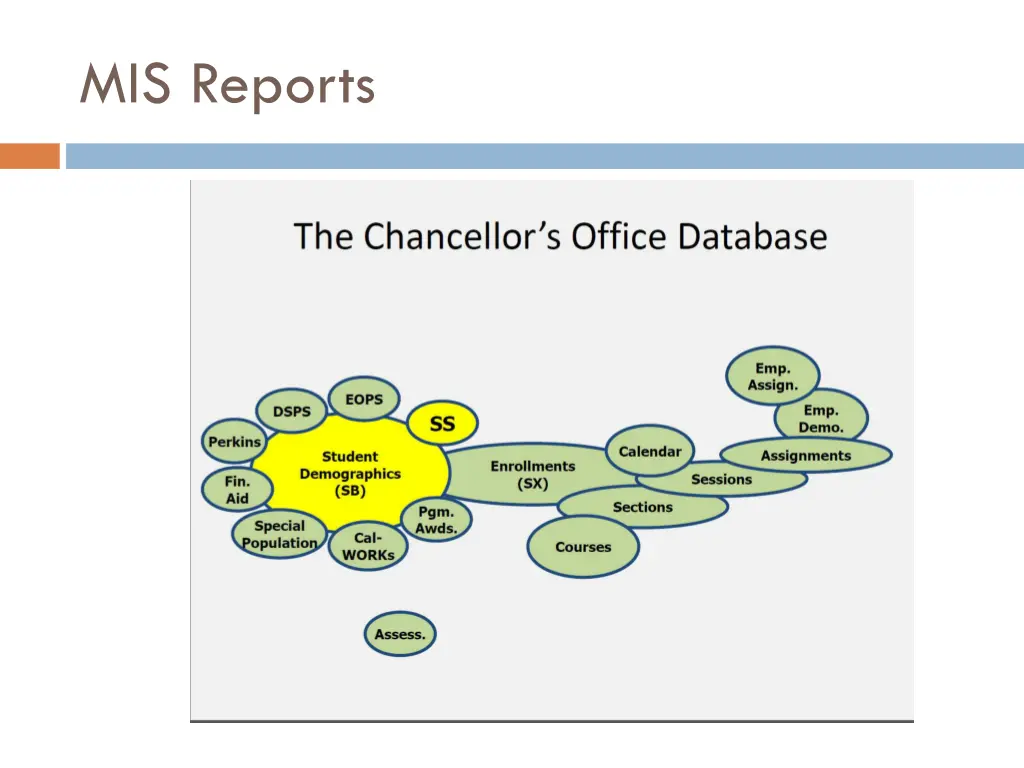 mis reports