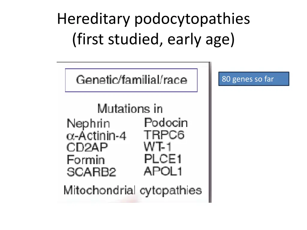 hereditary podocytopathies first studied early age