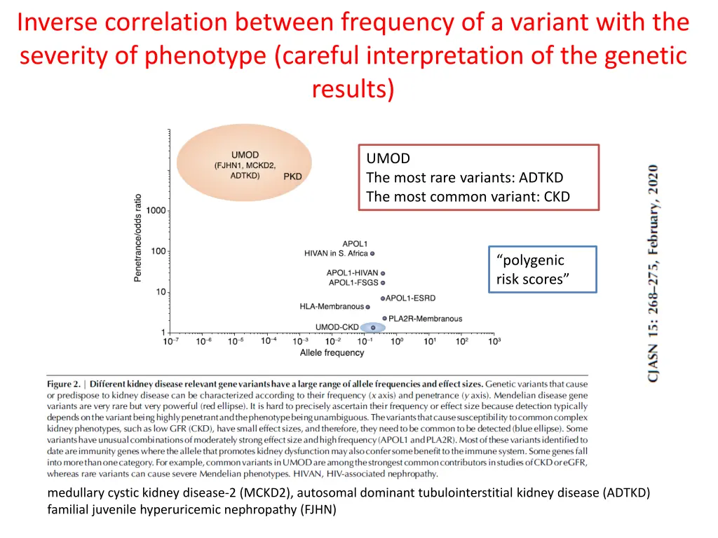 inverse correlation between frequency