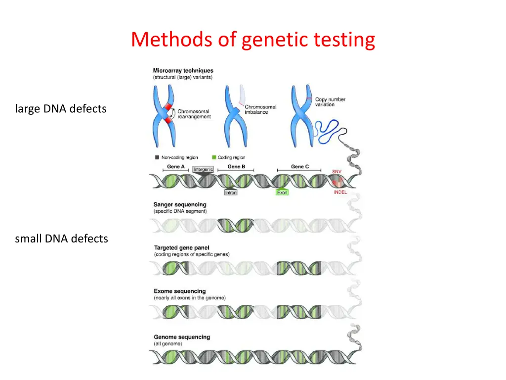methods of genetic testing
