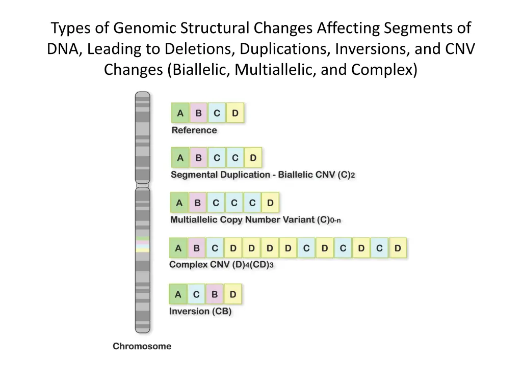 types of genomic structural changes affecting