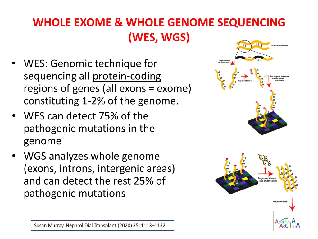 whole whole genome sequencing wes wgs