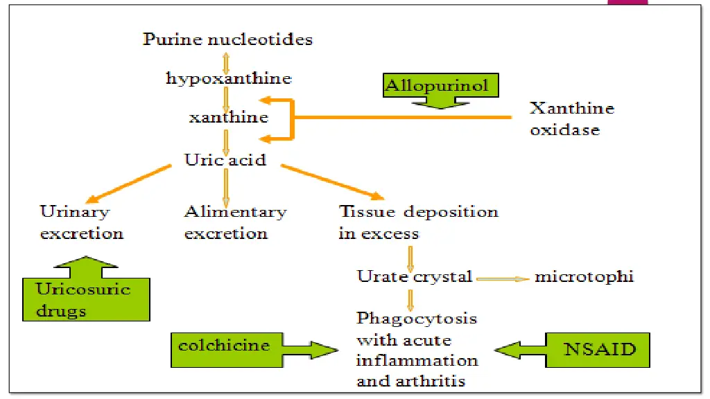 slide10