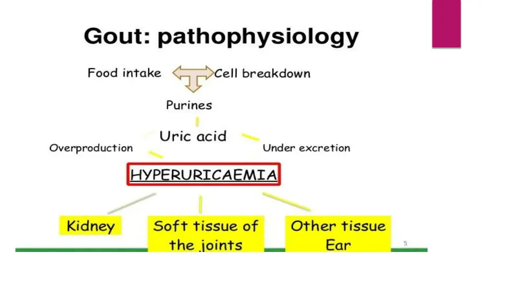 slide7