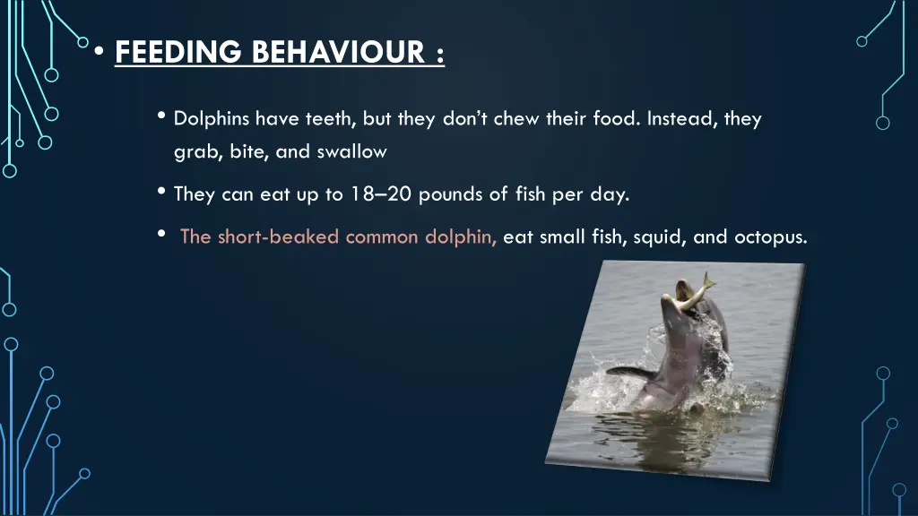 feeding behaviour