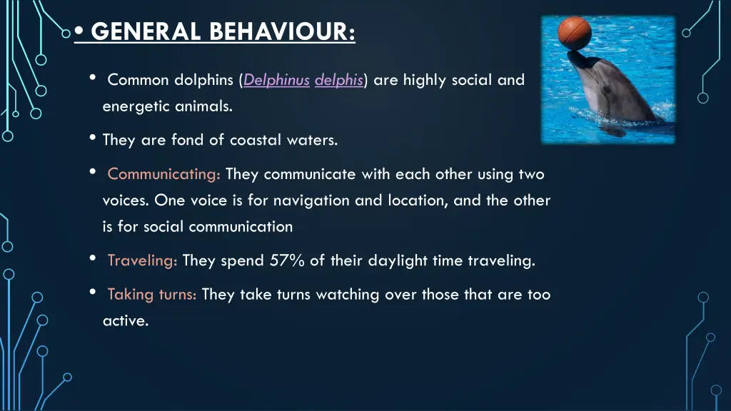 general behaviour