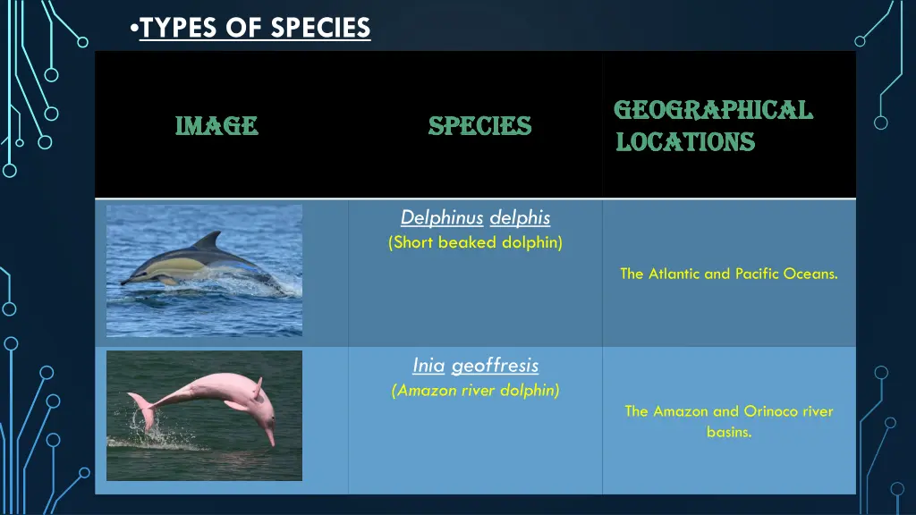 types of species