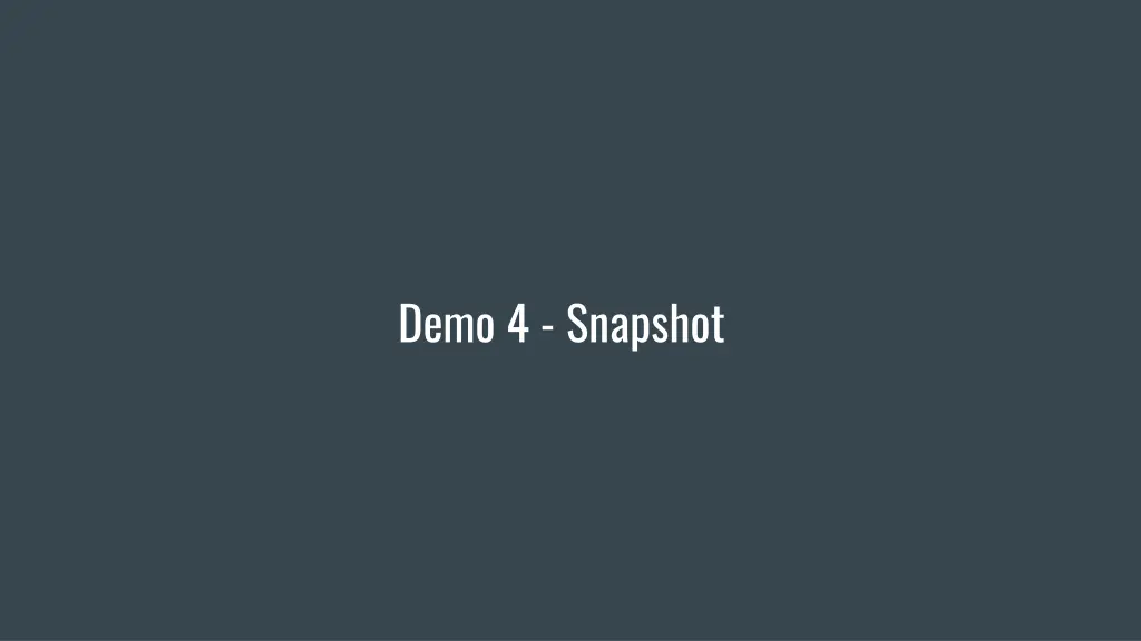 demo 4 snapshot