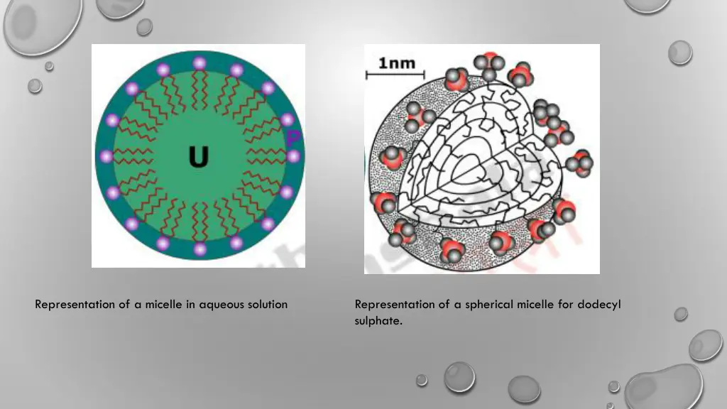 representation of a micelle in aqueous solution