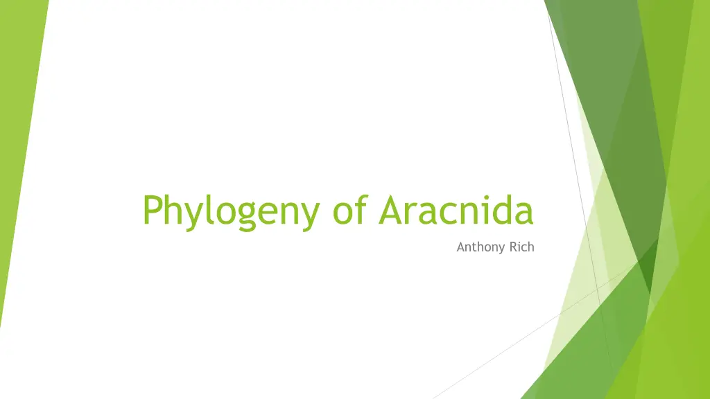 phylogeny of aracnida
