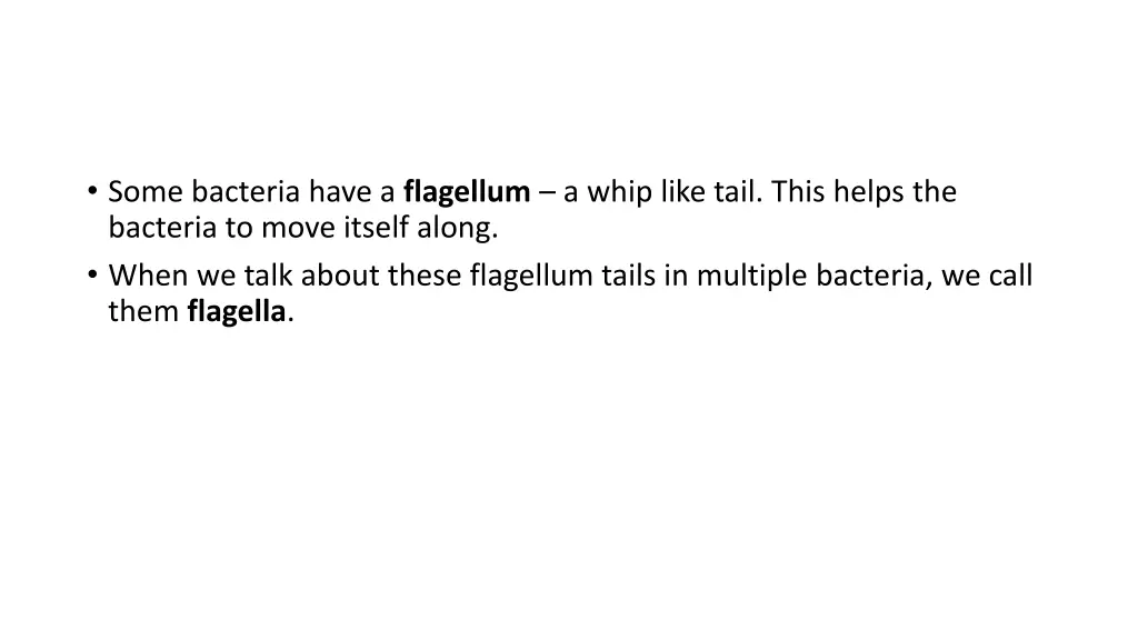 some bacteria have a flagellum a whip like tail