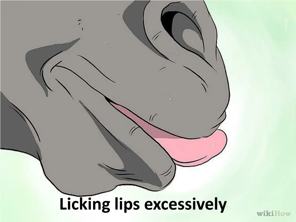 licking lips excessively