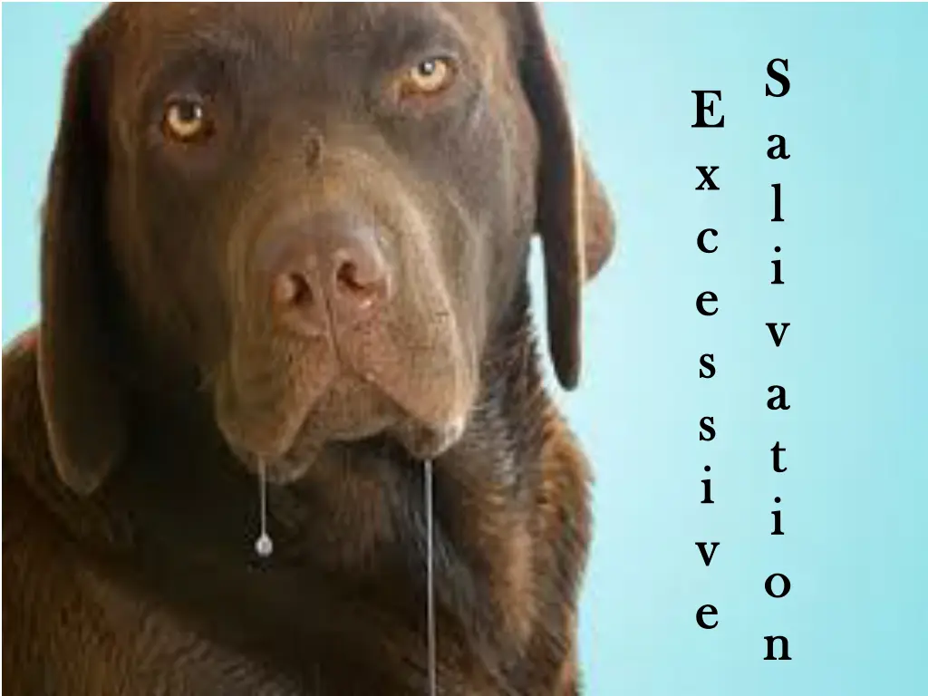 s s a a l l i i v v a a t t i i o o n n