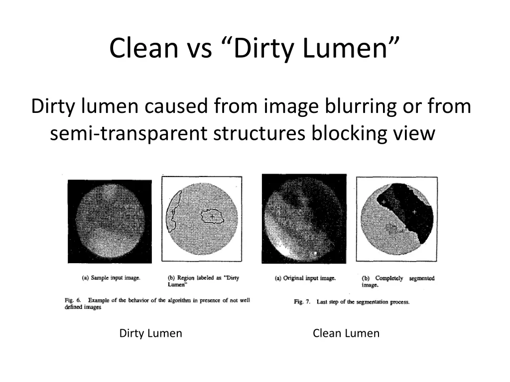 clean vs dirty lumen