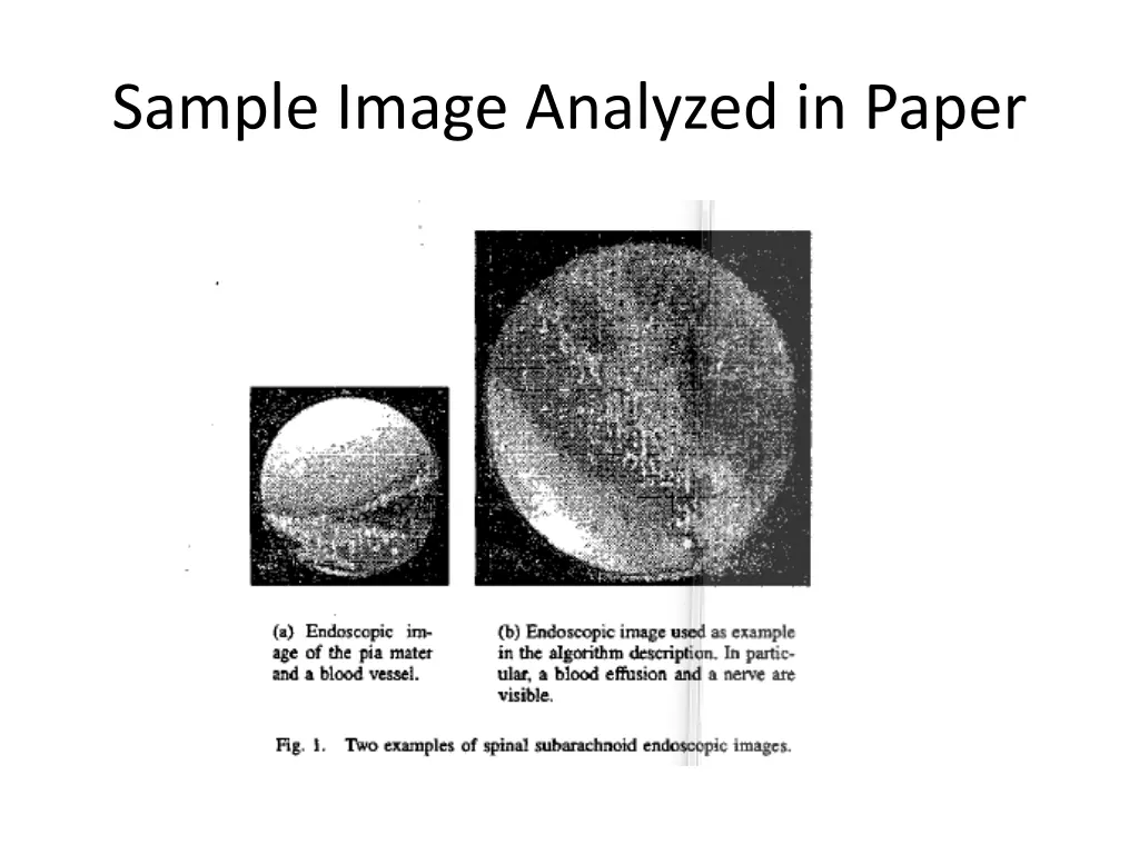 sample image analyzed in paper
