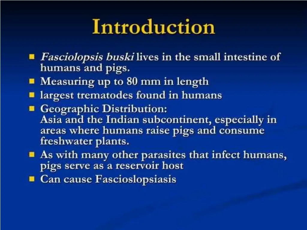 slide12