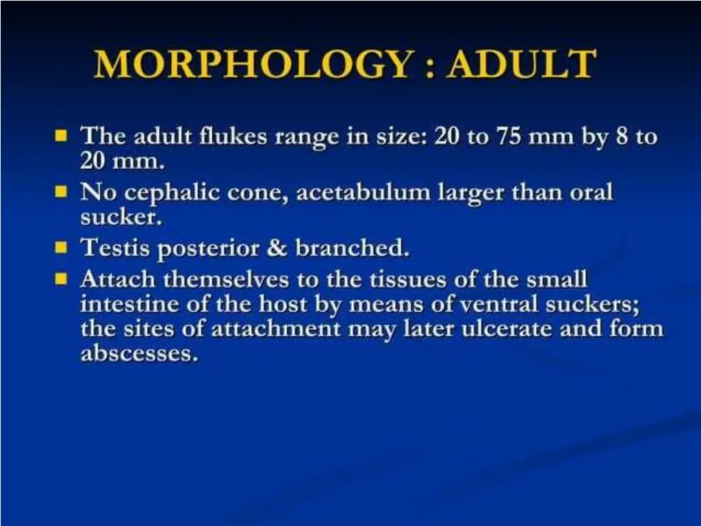 slide13