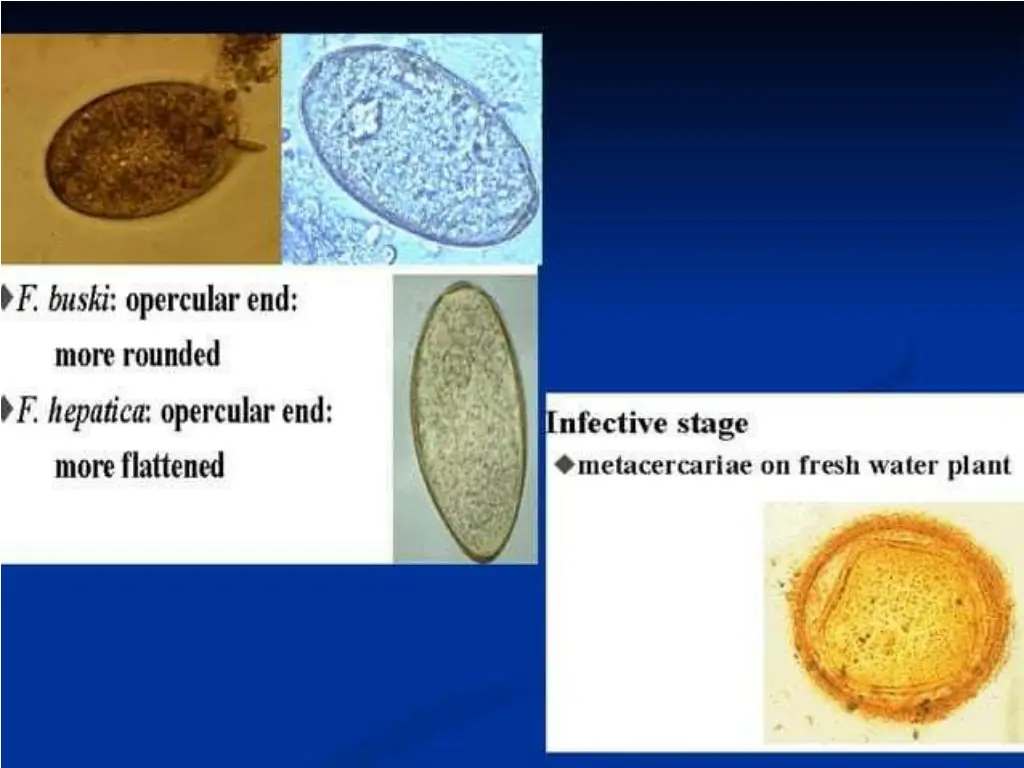 slide16